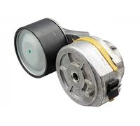 Tendicinghia multirighe 534 0061 10 INA per VOLVO B5 B6 B7 B9 B11 B12 7300 7700