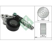 Tendicinghia multirighe 534 0098 10 INA per AUDI A6 C6 Avant A8 D3 A6 Allroad C6