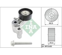 Tendicinghia multirighe 534 0100 20 INA per CITROËN PEUGEOT FIAT SUZUKI LANCIA