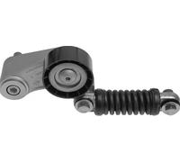 INA Braccio tenditore 534 0105 20 - Cinghia Poly-V per Volvo, Renault