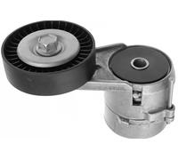 534011520 Tendicinghia, Cinghia Poly-V (MARCA-INA)..