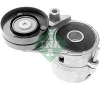 Tendicinghia multirighe 534 0116 20 INA per AUDI VW SKODA
