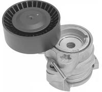 INA 534 0122 10 Braccio tenditore, Cinghia Poly-V