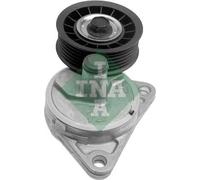 Tendicinghia multirighe 534 0130 20 INA per FORD MAZDA