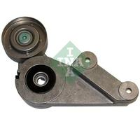 Tendicinghia multirighe 534 0133 30 INA per VOLVO RENAULT