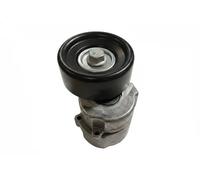 INA Braccio tenditore 534 0135 30 - Tendicinghia Poly-V per Volvo S40/V40