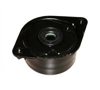 INA 534 0171 10 - Tendicinghia, Cinghia Poly-V