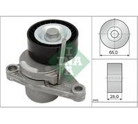 Tendicinghia multirighe 534 0250 10 INA per CITROËN PEUGEOT