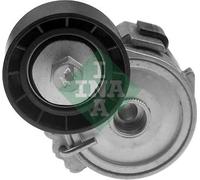 Tendicinghia multirighe 534 0255 10 INA per CITROËN PEUGEOT FIAT