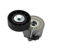 Tendicinghia multirighe 534 0280 10 INA per FIAT PEUGEOT CITROËN IVECO MULTICAR