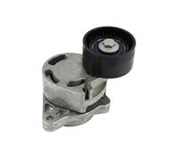 Tendicinghia multirighe 534 0317 10 INA per RENAULT OPEL NISSAN