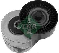 Tendicinghia multirighe 534 0329 10 INA per FORD GALAXY I