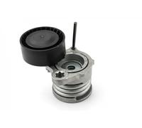 Ina 534 331 10 Braccio Tenditore, Cinghia PolyV