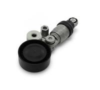 INA Tendicinghia Braccio tenditore 534 0342 10 Cinghia Poly-V per MAZDA (CHANGAN)