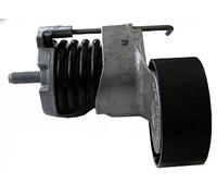 Schaeffler INA 534 0366 10 Tendicinghia, Cinghia Poly-V per BMW