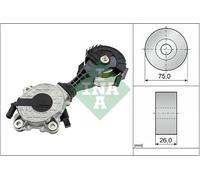 Tendicinghia multirighe 534 0425 10 INA per CITROËN PEUGEOT MINI BMW DS OPEL
