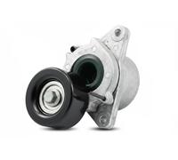 Tendicinghia multirighe 534 0435 10 INA per NISSAN PATHFINDER III PICK UP