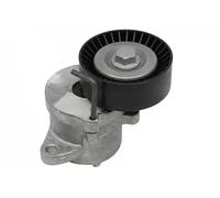 Ina 534 439 10 Braccio Tenditore, Cinghia PolyV