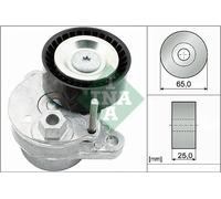 INA 534 0540 10 Braccio tenditore, Cinghia Poly-V