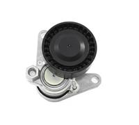 INA 534 0552 10 Braccio tenditore Cinghia Poly-V