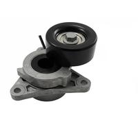 INA Tendicinghia multirighe 534 0606 10 per Nissan Infiniti