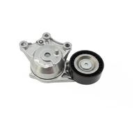 Tendicinghia multirighe 534 0656 10 INA per CITROËN PEUGEOT DS