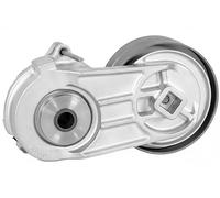 INA 534 0665 10 Tenditore cinghia servizi