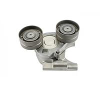 INA Braccio tenditore Cinghia Poly-V 534068210 per Ford Transit