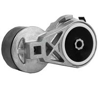 Ina Tenditore cinghia servizi 534 0697 10 Poly-V multirighe