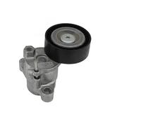 INA 534 0729 10 Braccio tenditore, Cinghia Poly-V