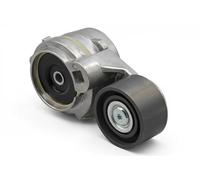 Tendicinghia multirighe 534 0787 10 INA per RENAULT TRUCKS VOLVO