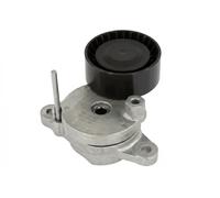 Tendicinghia multirighe 534 0795 10 INA per PEUGEOT CITROËN OPEL