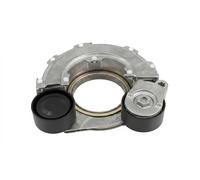 Tendicinghia multirighe 534 0796 10 INA per HYUNDAI KIA