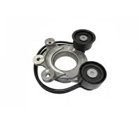 INA Tenditore cinghia servizi 534 0827 10 per Land Rover e Jaguar