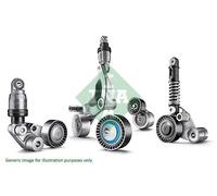 Tendicinghia multirighe 534 0921 10 INA per PEUGEOT CITROËN TOYOTA