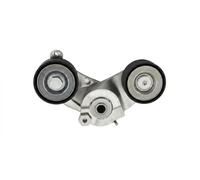 INA 534 0933 10 Tenditore cinghia servizi