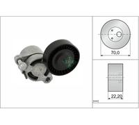 INA 534 1006 10 Tenditore cinghia servizi