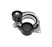 INA 534 1010 10 Tenditore cinghia servizi