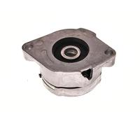 MaXgear Tendicinghia 54-0052 multirighe per VW SEAT AUDI FORD
