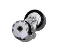 MAXGEAR Tendicinghia, Cinghia Poly-V per NISSAN RENAULT DACIA 54-0533