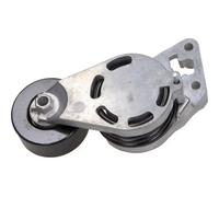 MAXGEAR Tendicinghia, Cinghia Poly-V compatibile con AUDI SEAT SKODA VW 54-0554
