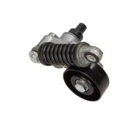 MAXGEAR Tendicinghia, Cinghia Poly-V per CITROËN PEUGEOT 54-0736