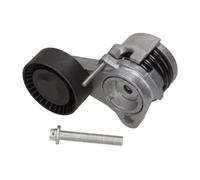 MAXGEAR Tendicinghia, Cinghia Poly-V per BMW MINI BMW (BRILLIANCE) 54-1161