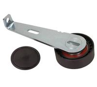 Tendicinghia multirighe 54-1414 MAXGEAR per CITROËN PEUGEOT FIAT