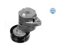 Tendicinghia multirighe 614 020 0000 MEYLE per OPEL DAEWOO CHEVROLET CADILLAC