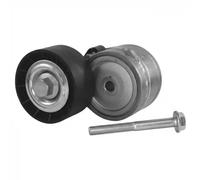 Dayco Tenditori Apv1000