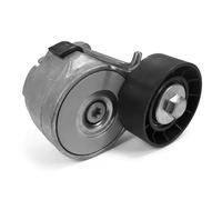 DAYCO APV1078 TENDITORE AUTOM.New Panda-Punto-YPSILON