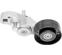 DAYCO APV2376 Tenditore cinghia servizi