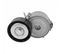 DAYCO APV2464 Tenditore cinghia servizi