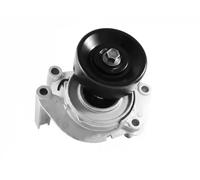 DAYCO APV2483 Tenditore cinghia servizi
